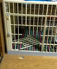 画像のとおり 我が家の犬がゲージを破壊しました きのう 一人で留守番 Yahoo 知恵袋