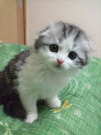 불장난ってなんでプルチャンナンって 読むんですか プルジャンナンじ Yahoo 知恵袋