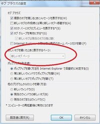 ニンテンドーwi Fiネットワークアダプターの設定ホームページ Yahoo 知恵袋