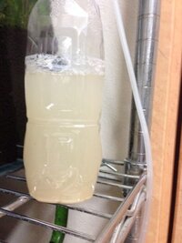 発酵式でco2を添加してます そこで 今日doアクアの拡散器をかって Yahoo 知恵袋