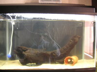 後悔の対義語を教えて下さい いろいろな説がありますが Yahoo 知恵袋