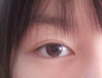 目の形について 猫目 丸目 アーモンドアイ 色々な目の形がありま Yahoo 知恵袋