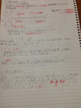大学ノート勉強法について 医療系の大学に今年から通っている男です Yahoo 知恵袋