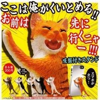 プールに入る際の化粧のマナーについて 私の考えが硬く古くさいの Yahoo 知恵袋