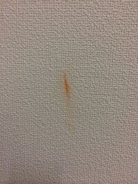 森鴎外の後妻さんはとても美人ですが 嫁姑問題で さんざん鴎外が悩 Yahoo 知恵袋