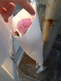 花束の包装の仕方を教えてください 私はスーパーでレジのバイトをしています 花 Yahoo 知恵袋