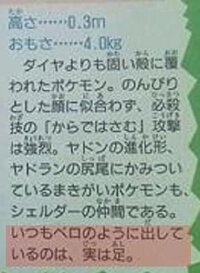 ポケモンについて 知ってたかい シェルダーの足 はい 知ってい Yahoo 知恵袋
