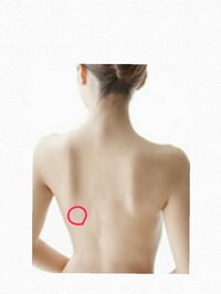 左肩甲骨の下あたりの痛みについて 数日前から 左肩甲骨の下あたりが筋肉痛のよう Yahoo 知恵袋