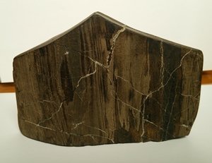 珪化木の価値について教えてください。 - 写真は横20センチ高さ15