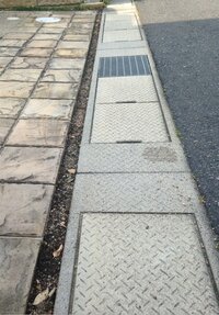 自宅駐車場とu字溝との間に たまりゅうを植えていたのですが 枯れてしまいました 教えて 住まいの先生 Yahoo 不動産