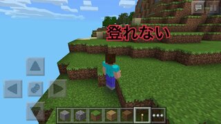 マイクラpeでピースフルでやってるんですが段差に当たっても自動ジャンプできませ Yahoo 知恵袋