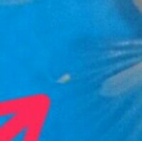 うちの金魚の尾ひれに 昨日から小さなホコリのような ゴミのようなものが付いてい Yahoo 知恵袋