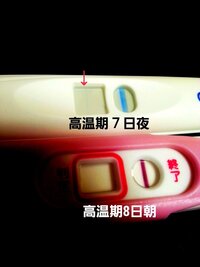 高温期8日目です 時間が経てば分かることなのですが我慢できず昨日から Yahoo 知恵袋