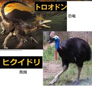Yahoo!知恵袋鳥がいるのに、何故恐竜は全て絶滅したことになっているのですか?
将来的に鳥も恐竜とする可能性はないですか?