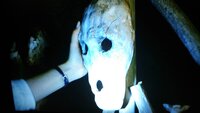 呪いの仮面です Www Ceral Com Br