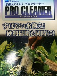 ポットに入ってた水草は購入後どうしてますか 水草が買った時のまま Yahoo 知恵袋