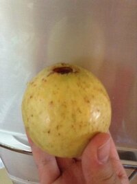 なくし物を見つける方法を教えてください ３週間前から 以前彼女からプレ Yahoo 知恵袋