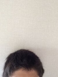 へこむ僕の髪 僕は前日風呂に入って髪はタオルでよく拭いた後 ドライヤ Yahoo 知恵袋