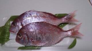 本鯛というのをスーパーで購入したのですが これって真鯛でしょうか チ Yahoo 知恵袋