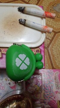 ポケモンプラチナについて質問があります イーブイのタマゴを作りたい Yahoo 知恵袋