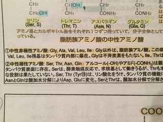 グリシン以外は脂肪族アミノ酸と書かれているのですが グリシンは脂肪族 Yahoo 知恵袋