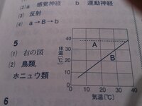 中二理科a恒温動物 B変温動物の体温の変化を 右の図にグラフで表しなさい ただ Yahoo 知恵袋