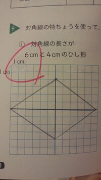 対角線これ合ってます 対角線とは向かい合う頂点を結んだ直線ですよね これだと対 Yahoo 知恵袋