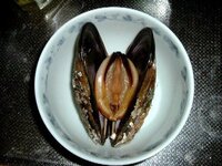 ミル貝とかアワビとか なぜ貝には生殖器を連想させる形状のものが多 Yahoo 知恵袋