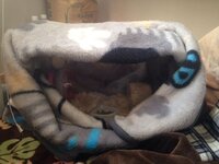 ハムスターの車移動って大丈夫ですか 今度引っ越すことになり 車で6 7時 Yahoo 知恵袋