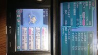 ポケモンジラーチに関して ポケモン オメガルビーにて海外の方からジラ Yahoo 知恵袋