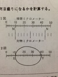 ミクロメータの使い方問題 接眼ミクロメーターと対物ミクロメーターの目 Yahoo 知恵袋