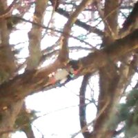 小説家になろう で異世界に召喚された主人公が王様から 私の代 Yahoo 知恵袋