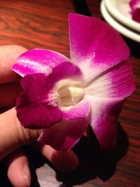 ハワイアンのお店に行くとよく出るこの花って食べれるって聞いたんですけ Yahoo 知恵袋