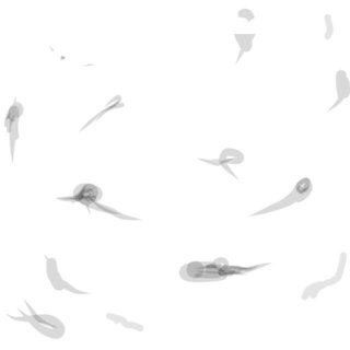 症 飛 知恵袋 蚊 治し 方