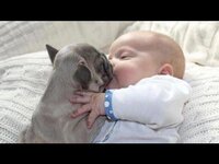 ワンピースの中で一番過去が残酷で悲惨で可哀想だと思うのは誰ですか Yahoo 知恵袋