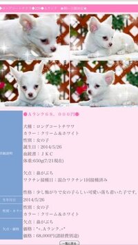 欠点のある犬を販売しているサイトを見ていて気になったことがあるのです Yahoo 知恵袋