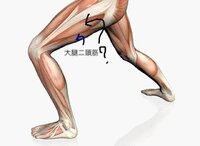 脚の筋肉 の部分の名称を教えてください 腸脛靭帯と大腿二頭筋の間にある筋肉の Yahoo 知恵袋