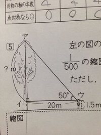 小学校６年生の算数の問題 木から10mはなれたところに立って Yahoo 知恵袋