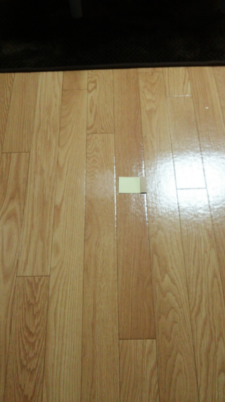 これはクッションフロアのワックスが剥がれてるんですか ここに シール剥が Yahoo 知恵袋