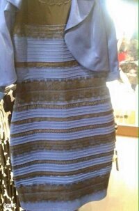 この画像について。 この画像はドレスの色が【青と黒】または【白と金(黄土色？)】のどちらかにみえるようです。
噂では右脳派の人は青黒、左脳派の人は白金にみえるそうなのですが、メカニズムが知りたくネット検索をかけてみたら、色の見え方の違いで右脳左脳どちら派かを判断するのはデマであるというのも見かけました。

しかし、家族でこの画像をみたら青黒派と白金派に分かれたのも事実です。つまり、右脳左脳は...