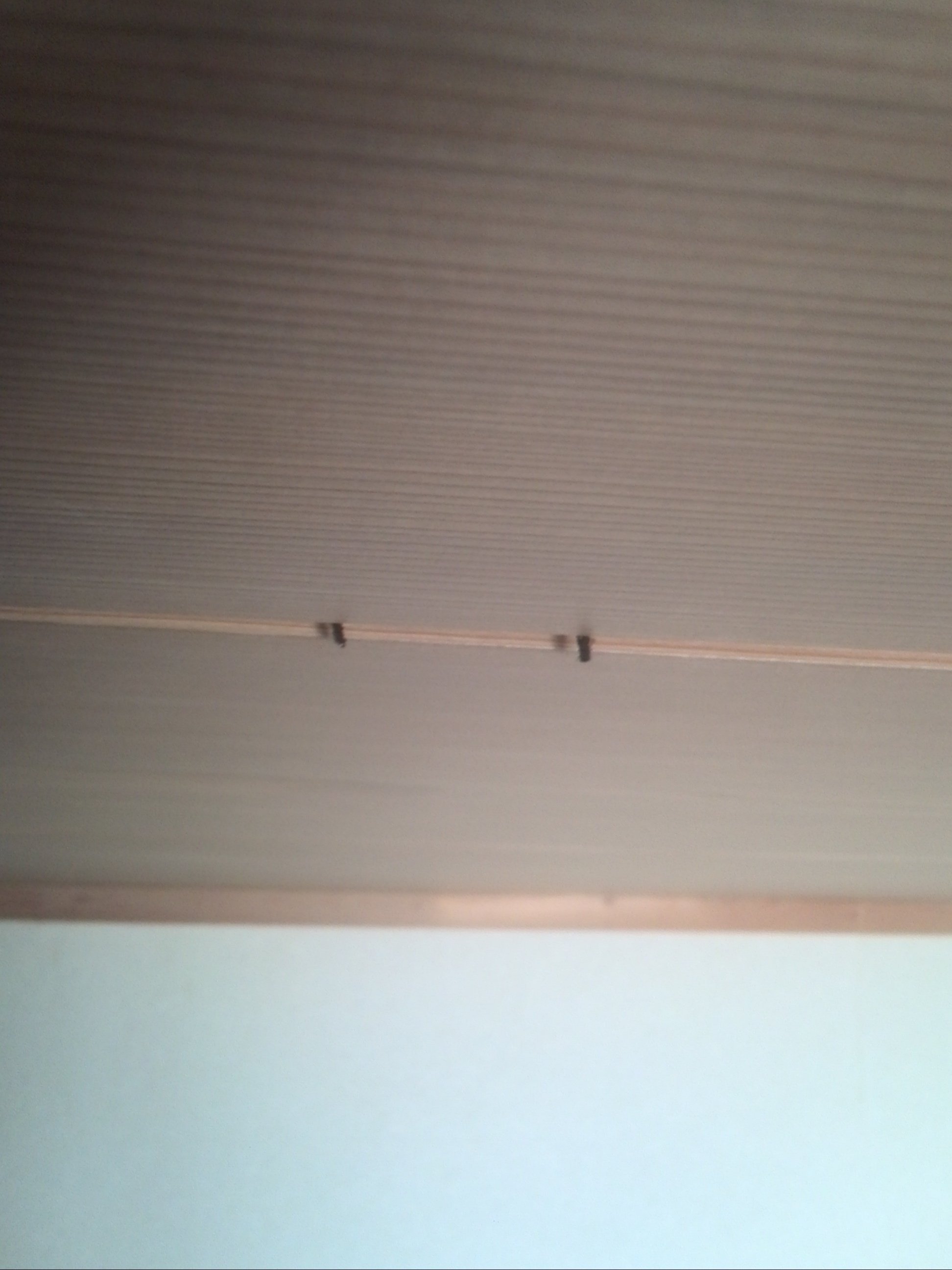 突然天井から黒い物体が垂れ下がりました これは何 正体が知りたいです Yahoo 知恵袋