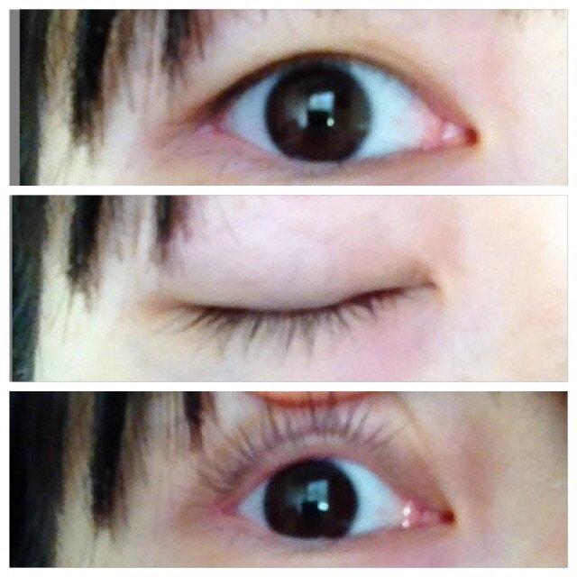 腫れぼたい一重瞼で隠れて見えないけれど 自まつ毛が毛深い下まつ毛の場合は Yahoo 知恵袋