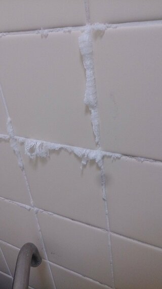 お風呂の壁のタイルに白いカビ が生えています 水をかけるとすぐに消えますが 次 Yahoo 知恵袋