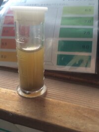 牛糞堆肥や腐葉土のｐhってどれくらいですか Yahoo 知恵袋