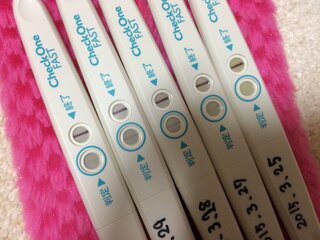 ３月25日からチェックワンファストで毎日検査薬をしてます 29日当た Yahoo 知恵袋