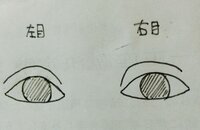 恵聖会クリニックの評判を教えてください 来年くらいに 二重まぶたのプチ Yahoo 知恵袋