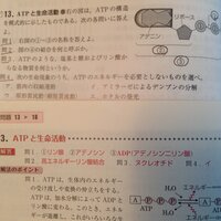 人気ダウンロード Fから始まる英単語 かっこいい 新しい壁紙明けましておめでとうございます21