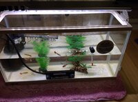 水槽を地震から守りたいです マンションで暮らしています 一人暮らしです 自分が Yahoo 知恵袋