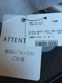 タグは切ってしまいましたが試着のみの商品です。日本未入荷。