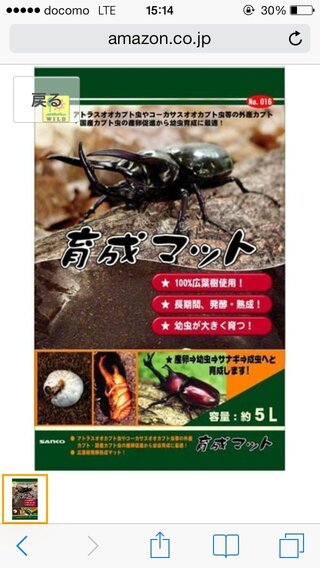 オオクワガタの幼虫におすすめのマットを教えてください オオクワガタの Yahoo 知恵袋